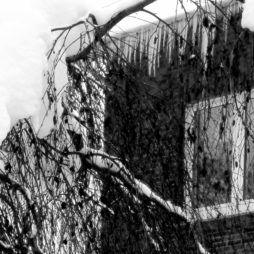 Angenommen – eine Kurzgeschichte