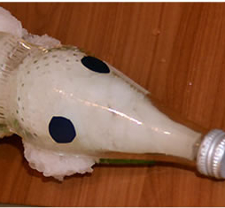 Der Eisflaschentapir: Harte Schale, süßer Kern
